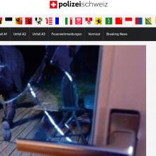 Basel-Stadt: Einbrecher in flagranti im Keller erwischt und festgenommen