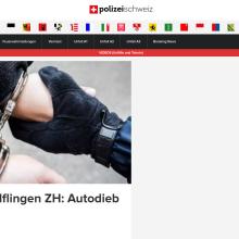 Winterthur-Wülflingen ZH: Autodieb verhaftet